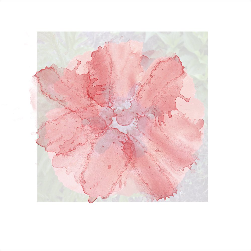 Miki_Krueger_aA_ToolsAndFilters_image_2_1000-scr