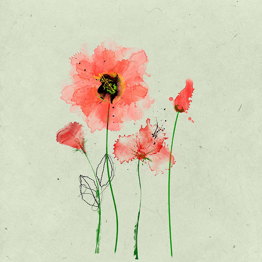 Miki_Krueger_aA_ToolsAndFilters_image_8_1000scr