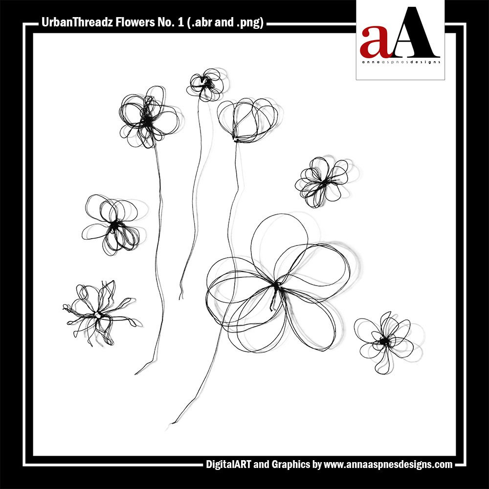 AnnaAspnes_aA