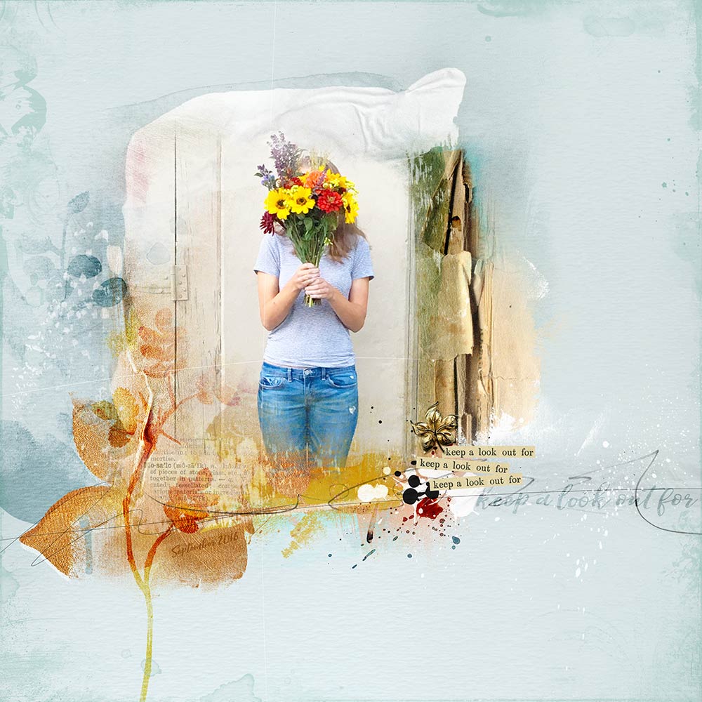 Digital Designs Inspiration DSD ValuePack