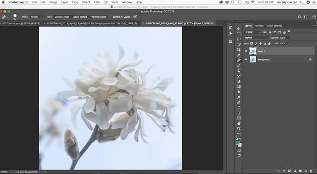 Best Photo Editing Process Tutorial Best Photo Editing Process Tutorial