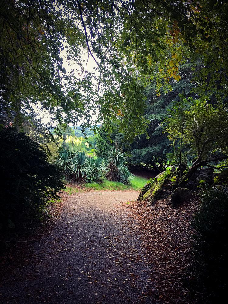 Smart Phone Photo Editing with Mextures Smart Phone Photo Editing with Mextures